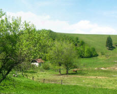Bildschirmschoner "Panorama an der Quelle der Freiberger Mulde bei Moldava"  